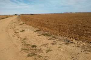 Rural/Agricultural land for sale in Badajoz. 